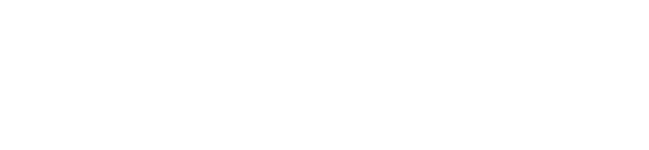 ZUPTI-Logo-White
